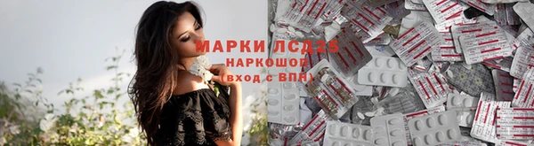 стаф Семилуки