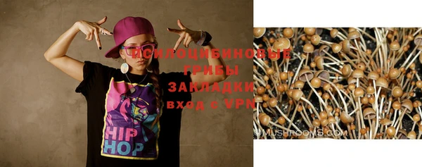 mdma Куртамыш